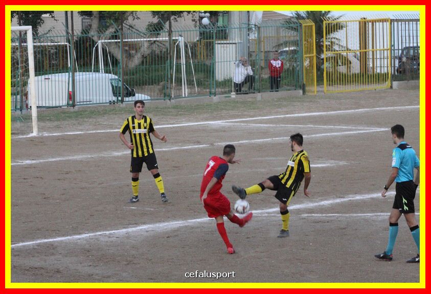 181111 Cepha_Milazzo 259_tn.JPG